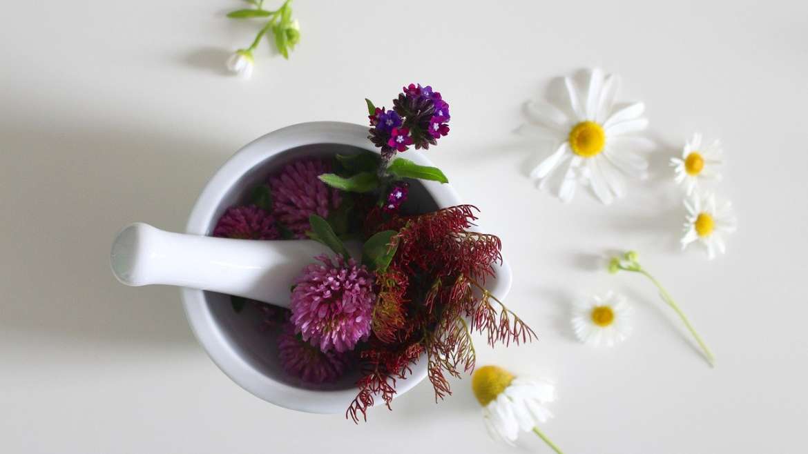 Pourquoi adopter des cosmétiques bio ?